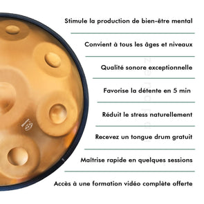 Handpan 9/10 ملاحظات D طفيفة سلتيك